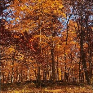 I’ll be accepting almost all offers that aren’t below $10!